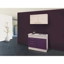 Flex-Well Exclusiv Miniküche Focus 100 Cm Akazie-Aubergine