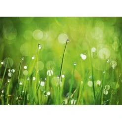 Eurographics Kitchen Glas SpritzschutzGreen Morning II 65cm X 90 Cm -Geschäft Für Heimküche 561830 1041 dgs dt40091 1